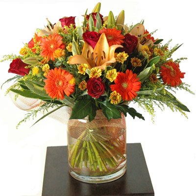 הסוכה הכי יפה בעיר