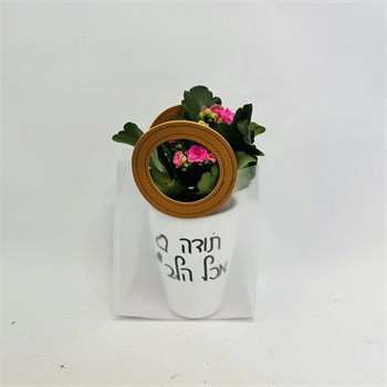 ניצניות "תודה מכל הלב" בשקית