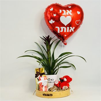 מארז גוזמניה דובי שוקולדים ובלון