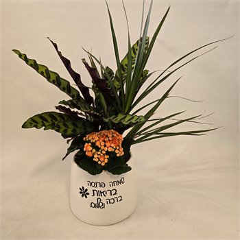 מיקס "שמחה פנסה בריאות ברכה ושלום"