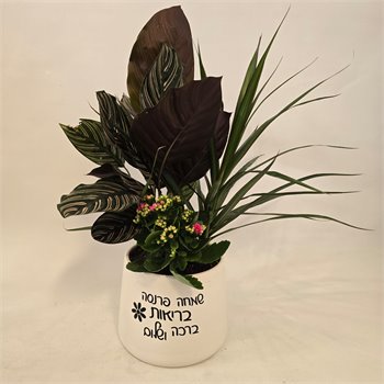 מיקס "שמחה פנסה בריאות ברכה ושלום"