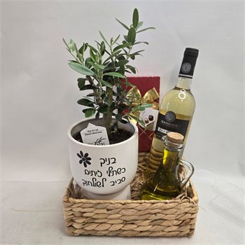 מארז זית ננסי שמן יין ושוקולד