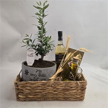 מארז זית ננסי כלי בטון שמן יין ושוקולד