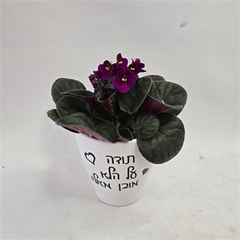 סיגלית "תודה על הלא מובן מאליו"