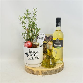מארז זית ננסי שמן יין ושוקולד