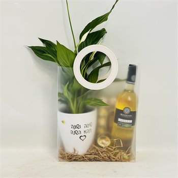 שקית ספטיפליום שוקולד ויין