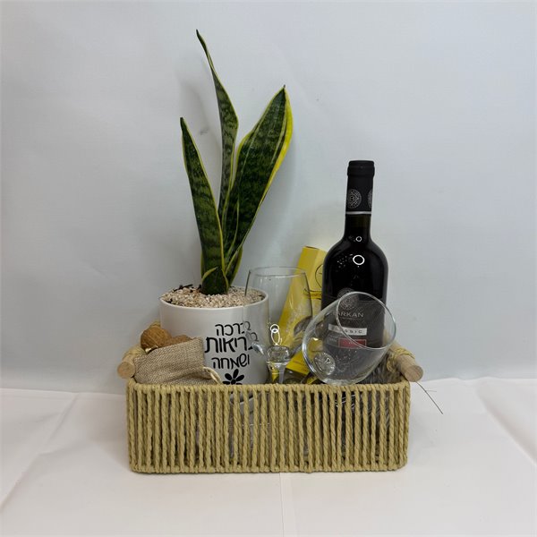 מארז עץ הבריאות יין ושוקולד