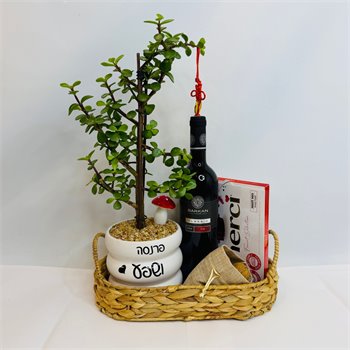 מארז עץ שפע יין ושוקולד