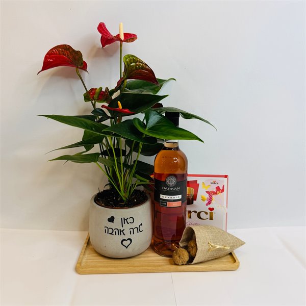 מארז אנטוריום יין ושוקולד 