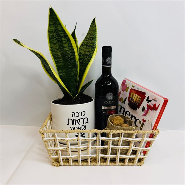 מארז עץ הבריאות יין ומרסי