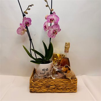 מארז סחלב "עכשיו הזמן לפרוח" יין ושוקולד