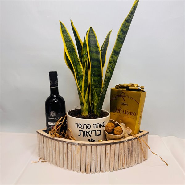 מארז עץ הבריאות יין ושוקולד