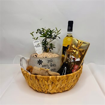 מארז זית ננסי שמן יין ושוקולד