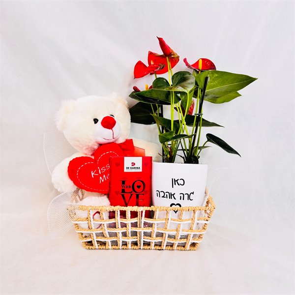 מארז אנטוריום שוקולד ודובי