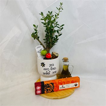 מארז זית ננסי שמן ושוקולד
