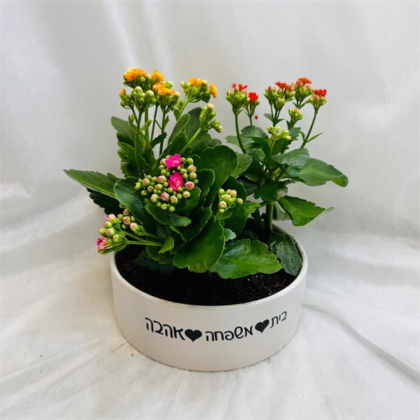 ניצניות בכלי עגול "בית, משפחה, אהבה "